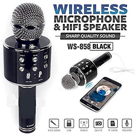 Bocina Portátil de micrófono Bluetooth Wireless WS-858 - Pixal Center